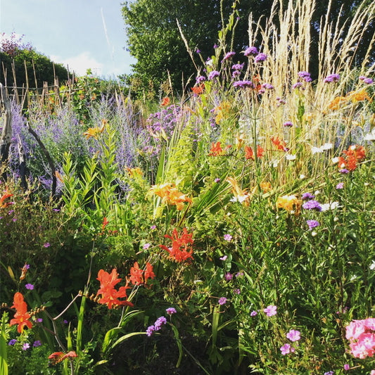 Gucci Ad style meadow 10 Holland street