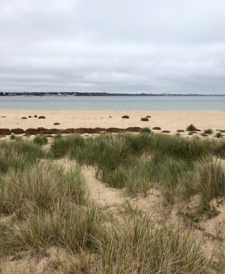 Beach view, sand, dunes, grasses and sea