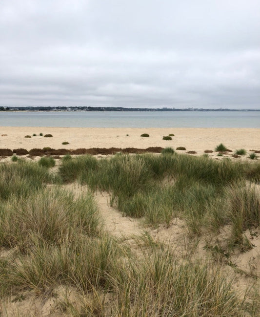 Beach view, sand, dunes, grasses and sea