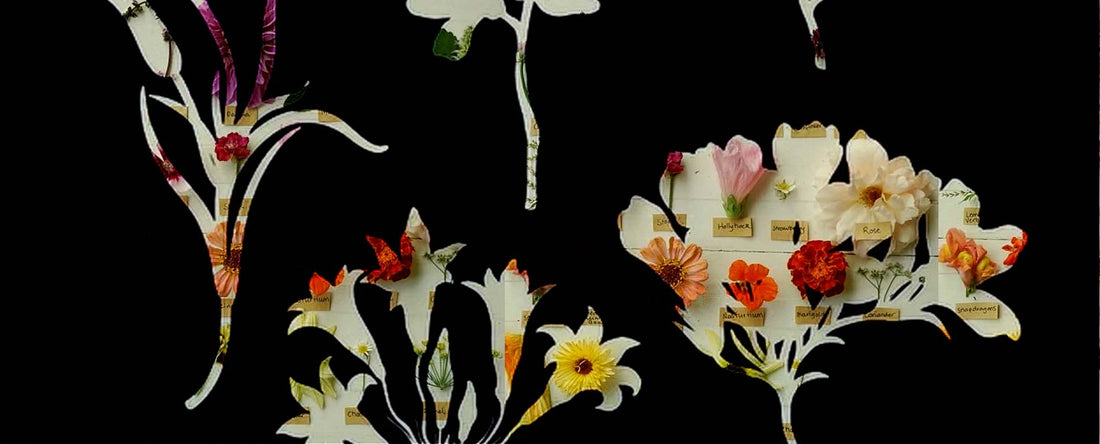 Silouette of flower shapes in black