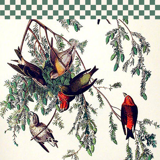 John Audubon Linen Print. Printed silk kaftans by Holland Street featuring hand-drawn bird motifs and expressive patterns